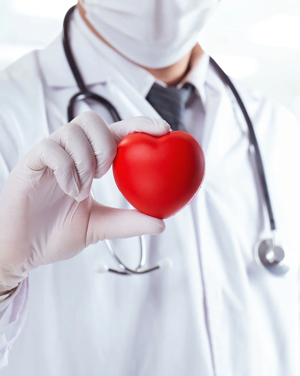 CHECK - UP